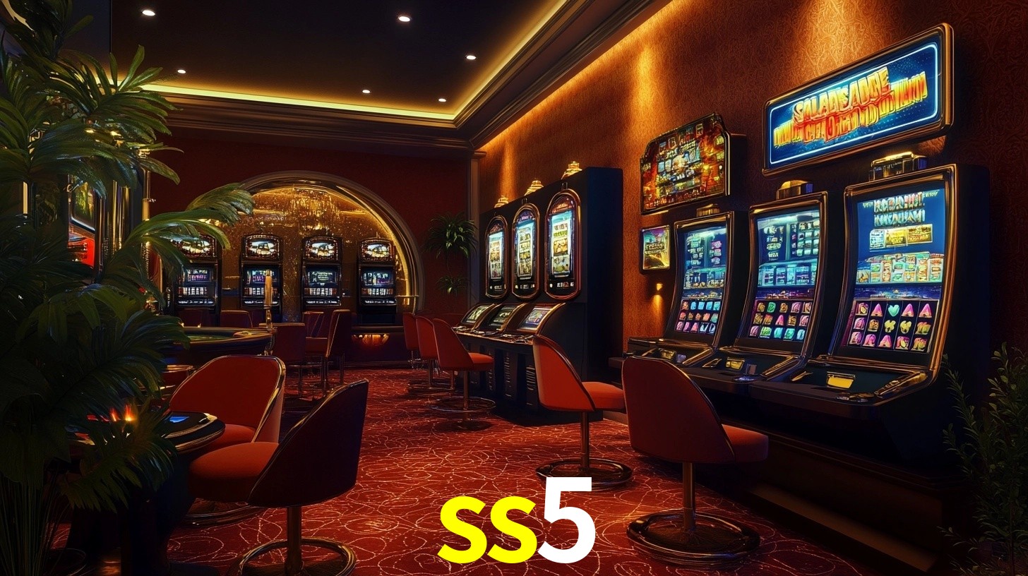 Premium Interface ss5